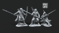 Preview: Rangers of Grey Castle